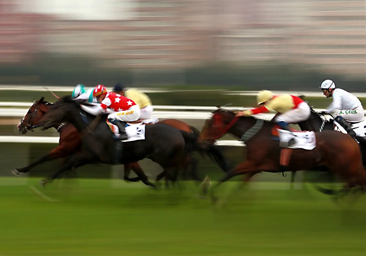 Cheltenham Races
